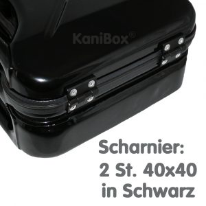 10er Case Scharnier 40x40 Schwarz